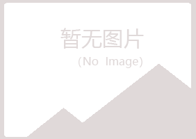 安阳北关白山化学有限公司